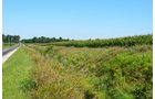 Property photo 3 - 66.9+/- Acres Offered in 2 Tracts - Mostly Tillable Farmland